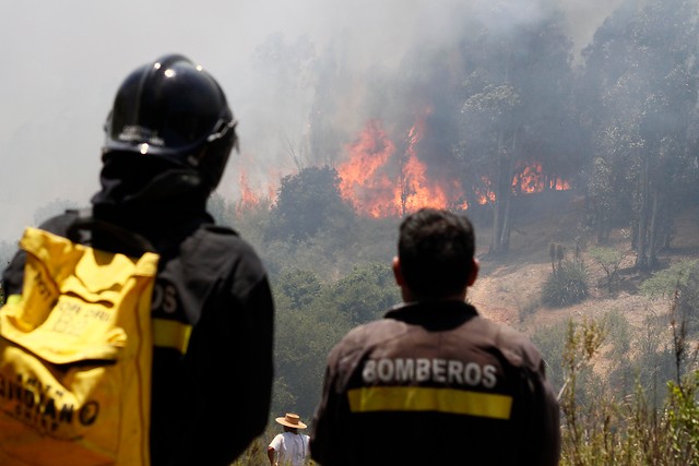 Fotos: Incendios consumen unas 2.800 hectáreas de bosques en Melipilla