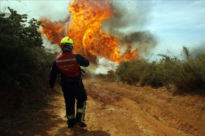 Incendio sin control consume más de 1.600 hectáreas en Arauco