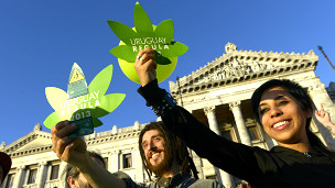 Uruguay legaliza la producción y la venta de marihuana