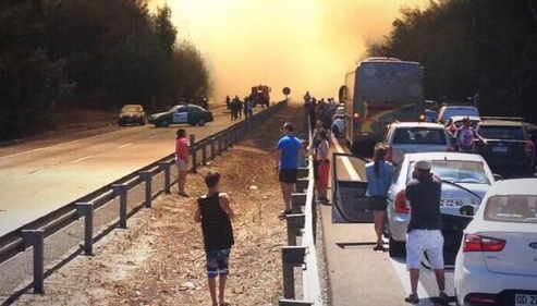 Reabren tránsito a la altura de Peñuelas de Ruta 68 mientras Bomberos logra controlar el incendio forestal