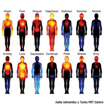 Crean un mapa corporal de las emociones