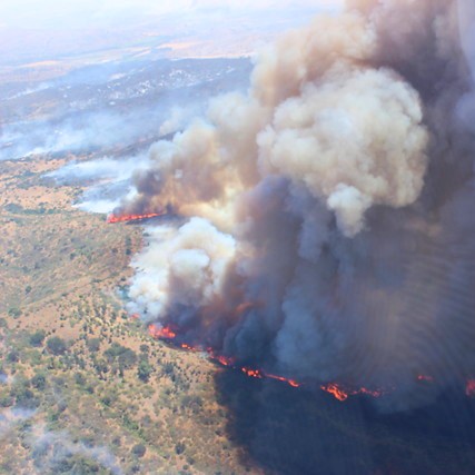 Ministro Mayol: «Hay 47 focos de incendios forestales activos»