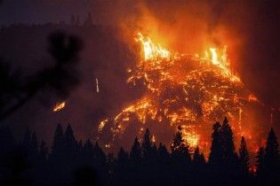 Autores de incendios forestales se exponen a 20 años de cárcel