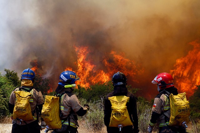 Incendios forestales han consumido 10 mil hectáreas en zona central del país