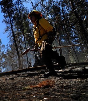 Declaran Alerta Roja en el Bío Bío por los incendios forestales