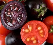 El tomate morado, un nuevo «superalimento» modificado