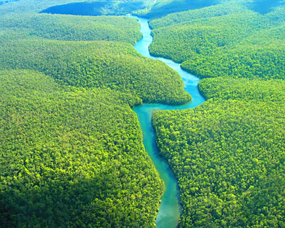 El Amazonas dejará de enfriar la atmósfera al emitir más CO2 del que absorbe