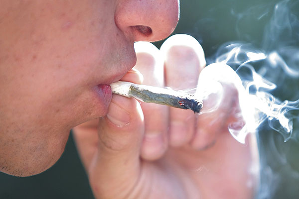 Estudio revela que un 65% de los chilenos cree que la marihuana debería ser considerada como droga blanda