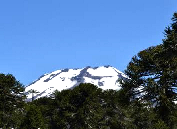 Este viernes llevan a cabo el coloquio «Áreas Protegidas: Relatos del Chile Profundo»