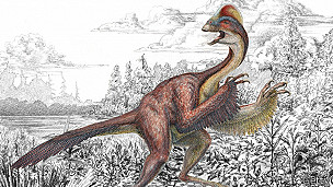 El «pollo del infierno», una inédita especie de dinosaurio con plumas