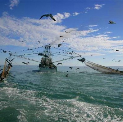Pescadores artesanales arremeten contra subsecretario por «sacar una carta bajo la manga» en favor de las 7 familias