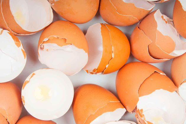 La cáscara de huevo podría convertirse en un bien rentable