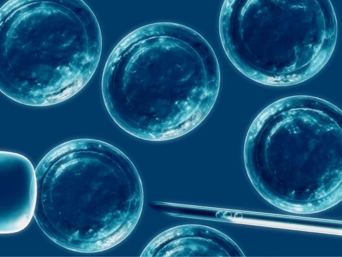Preservación de Células Madres: una alternativa para tratamientos estéticos en el futuro