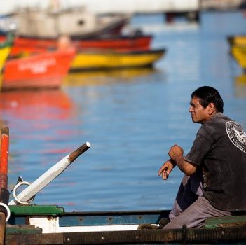 Casi la mitad de las pesquerías en Chile se encuentran sobreexplotadas o agotadas
