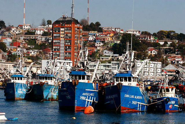 Oceana emplaza al gobierno a implementar medidas para «recuperar sus principales recursos pesqueros»