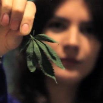 JJ.CC. lanza video pro despenalización del autocultivo de la marihuana