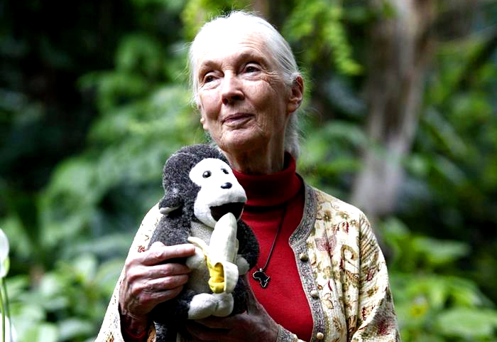 Jane Goodall: «Tenemos que cuestionarnos el origen de todo lo que consumimos»