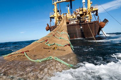 Pescadores artesanales denuncian que subsecretario Súnico sólo «postergará» resolución que permite pesca de arrastre