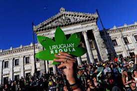 Uruguay: revelan reglamento para venta de marihuana