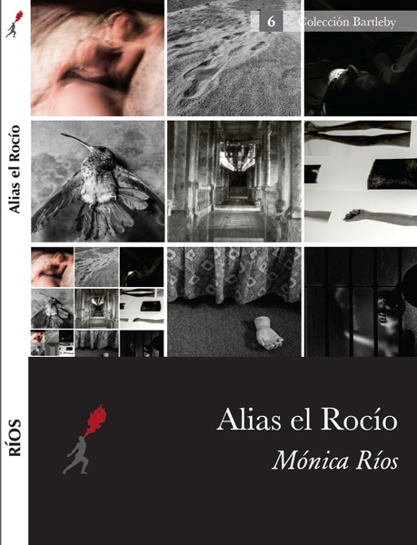 Joven escritora chilena lanza libro “Alias el Rocío” en Nueva York