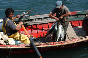 Pescadores Artesanales valoran anuncios de la Presidenta Bachelet