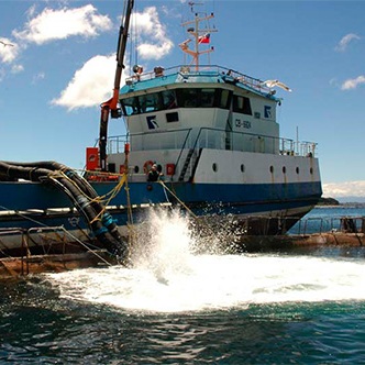 Trabajadores pesqueros: «Subsecretario de Pesca sigue con manga ancha con la Gran Industria»