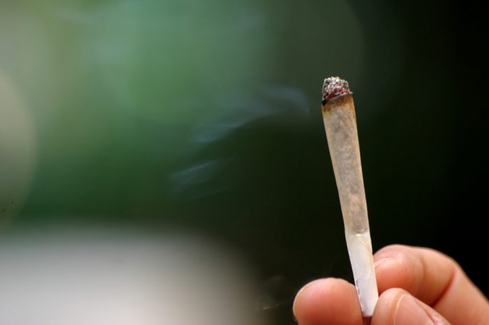 Florida aprueba el uso medicinal de una cepa de marihuana contra la epilepsia