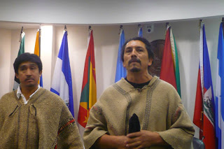 Federación Internacional de DD.HH. celebra condena contra Chile por aplicar Ley Antiterrorista a mapuches