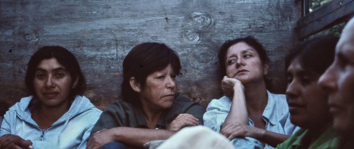 Filme chileno sobre los abusos sexuales y laborales de un temporera recibe fondos del Festival de San Sebastián
