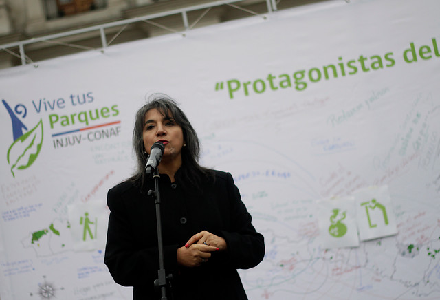 Los problemas con la Consulta Indígena que de nuevo apuntan a la ministra Fernanda Villegas