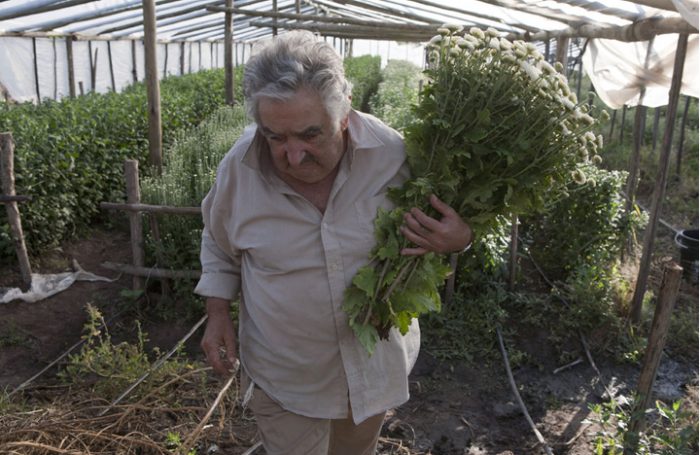 Martin Sastre, el artista uruguayo que rinde homenaje a la filosofía del Presidente Mujica