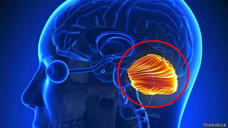 La joven china que probó que se puede vivir sin cerebelo