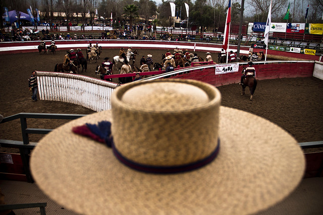 Con 30 detenidos termina protesta contra el rodeo en medialuna del Parque Padre Hurtado