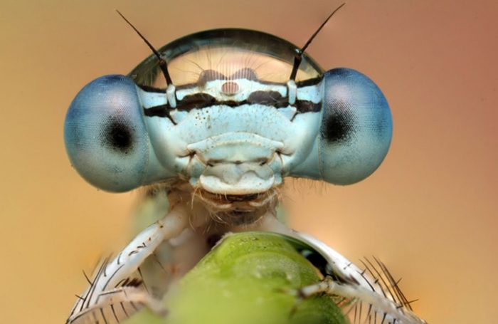 Visita Chile científico autor de la serie “El origen de las especies», una de las producciones más reconocidas sobre biología y genética