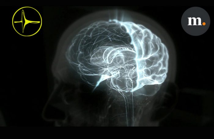 El Mostrador y Neurocientíficos de U. de Valparaíso lanzan «Los misterios del cerebro»: Novedades de la neurociencia en el mundo