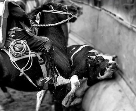 Convocan para este sábado a marchar contra el rodeo