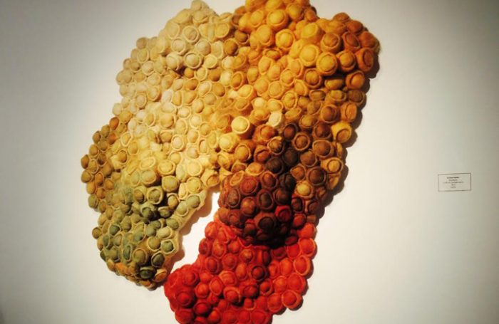 Arte experimental en fieltro
