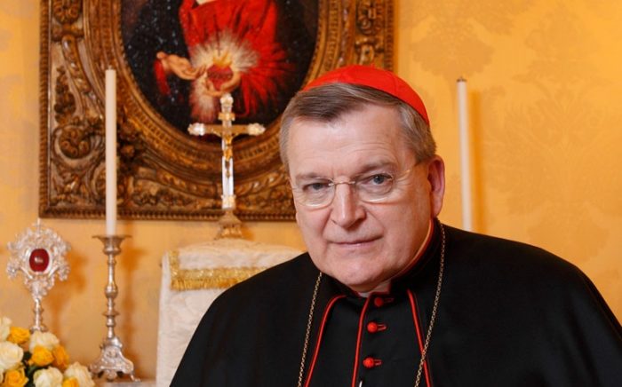 El cardenal antigay que lideró la oposición al Papa