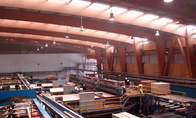 Arauco estima que impacto económico en resultados por reforma tributaria equivale a tres cuartos de sus utilidades anuales