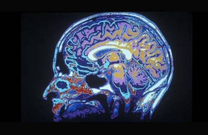 Nobel de Medicina reconoce el descubrimiento del «GPS interno» del cerebro