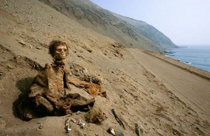 Contaminación por arsénico habría sido clave en momificación de cultura Chinchorro