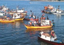 Pescadores artesanales: «Es imposible que más del 50% del pescado que consumen los chilenos sea ilegal»