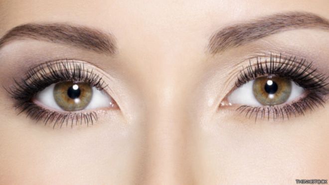 Por qué tenemos los ojos al frente de la cabeza y no al costado
