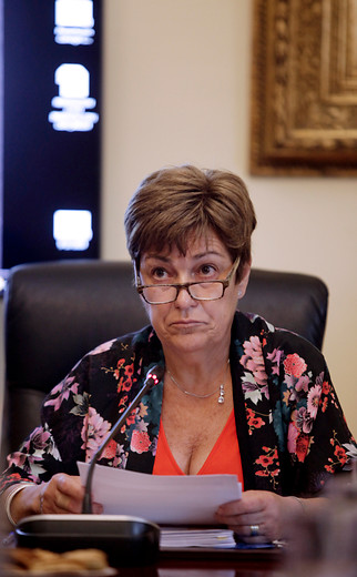 Josefa Errázuriz asegura que cualquier vecino puede ocupar el Palacio Falabella