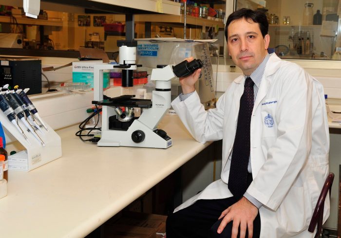 Científicos chilenos invitan a invertir en biomedicina e inmunoterapia
