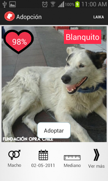 APP Chilena “Laika” para adopción y tenencia responsable de perros callejeros gana Torneo Internacional Universitario