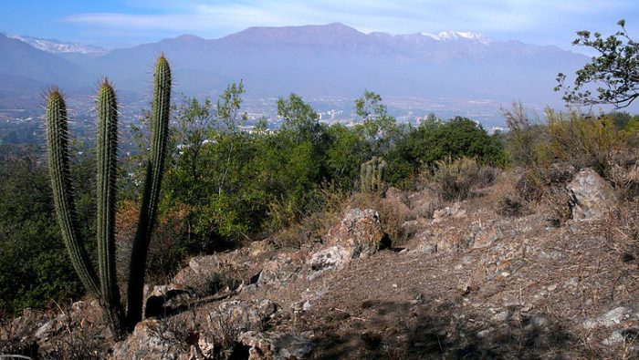 Corte de Apelaciones ratifica fallo contra los Legionarios de Cristo por daño ambiental en cerro de Lo Barnechea