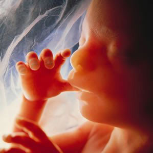 España redujo en un 3.3% tasa de abortos luego de su legalización