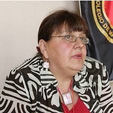 Presidenta del Colegio de Matronas aseguró que en Chile los abortos «se inician en una clínica clandestina» y «se terminan en las clínicas privadas»