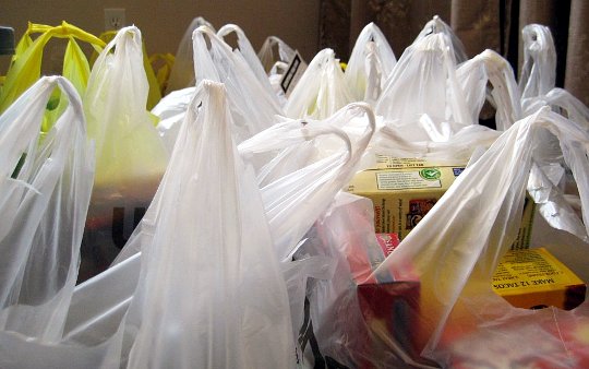 Prohibición de bolsas plásticas: multas superarán los 230 mil pesos